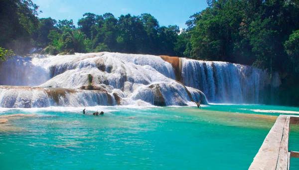 Agua Azul: Entramos  en el Parque Nacional AGUA AZUL, podrá caminar entre las más de 50 cascadas de entre tres y 30 metros de altura. 