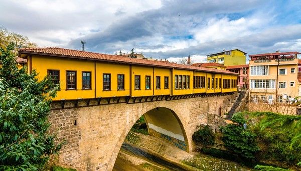 Bursa