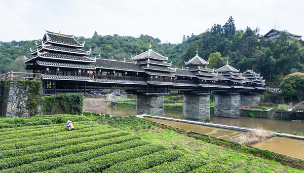 Chengyang: El puente del viento.
