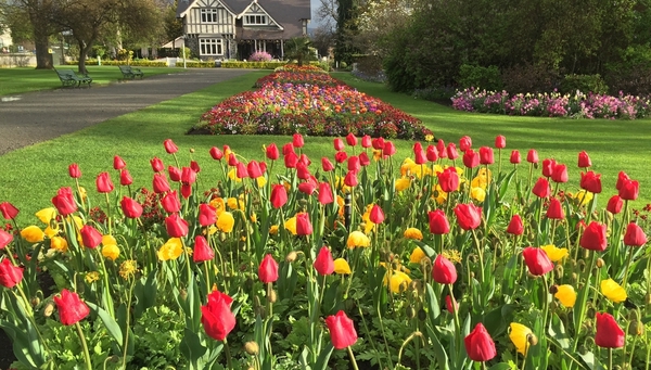 Christchurch: Conocida como la Ciudad Jardín