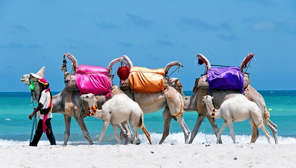 Djerba