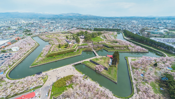 Hakodate: Fortaleza de Hakodate.
