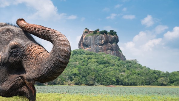 Habarana