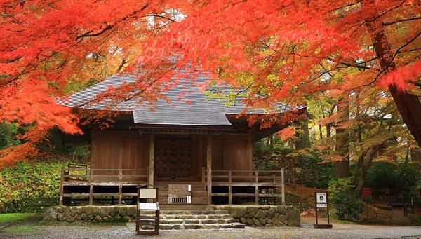 We visit the temples of Hiraizumi - Heritage of Humanity by UNESCO