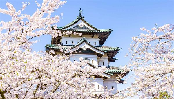 Hirosaki Castle located in a beautiful park where more than 2,500 cherry trees bloom in spring