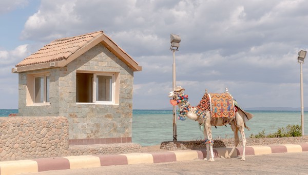 Hurgada