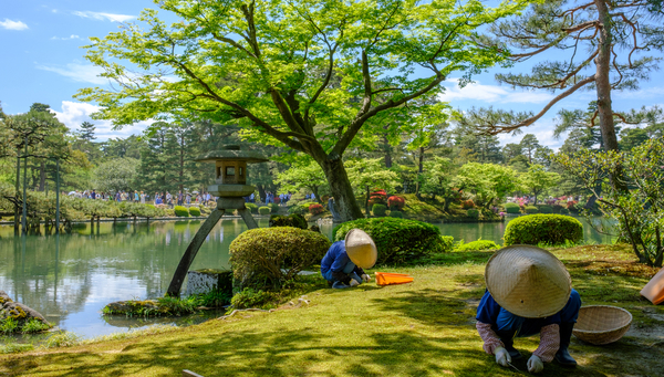 Japanese gardener near the Toro lantern in Kenrokuen, a Japanese garden in Kanazawa, Ishikawa prefecture, Japan.
