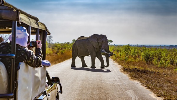 Kruger