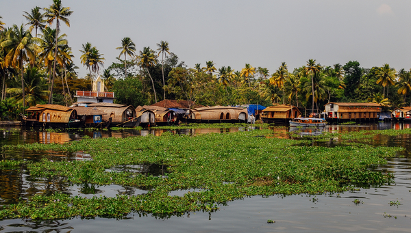 Kumarakom: Una ciudad a orillas del Lago Vembanad.
