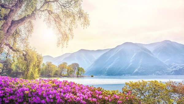 Lugano