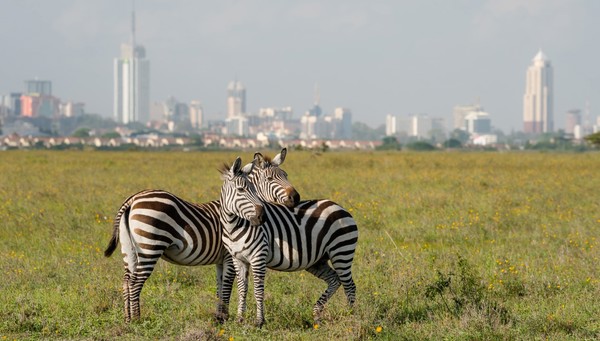 Nairobi