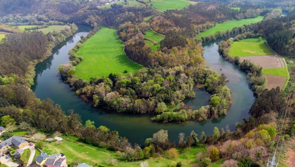 Navia