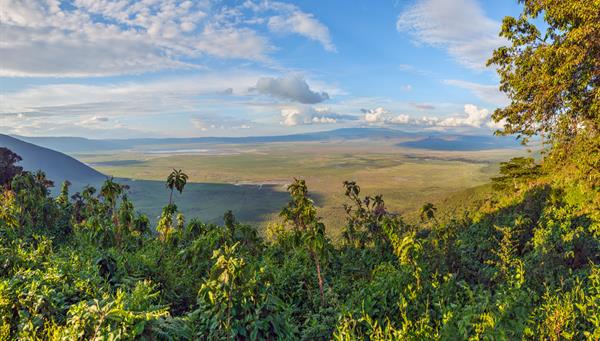 Parque Nacional del Cráter Ngorongoro 