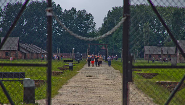 Auschwitz: En carne viva.