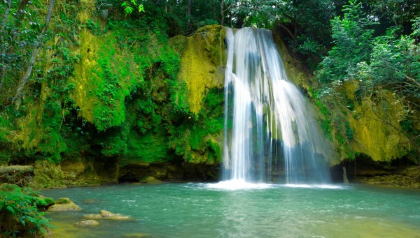 Samana