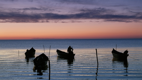 Tulcea