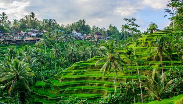Ubud