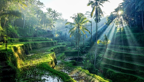 Ubud