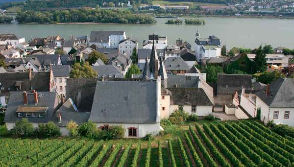 Rudesheim: Capital vinícola de Renania.