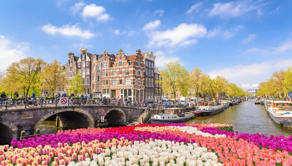 tour Amsterdam and Paris GO photo