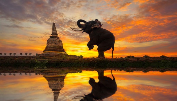 tour Complete Thailand with Kanchanaburi – Ending in Bangkok photo