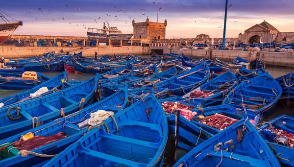 tour Imperial Cities and Moroccan Atlantic photo