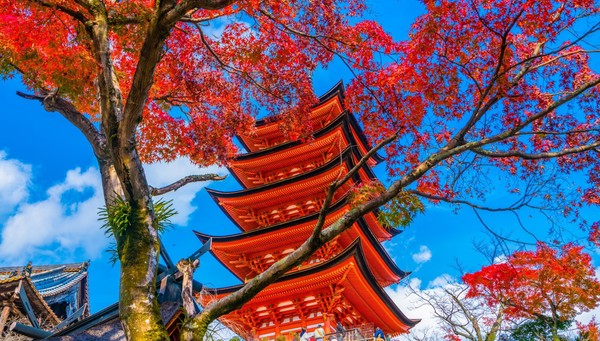 tour From Seoul to Hiroshima photo