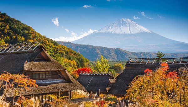 tour Contrasts of Japan end Tokyo photo
