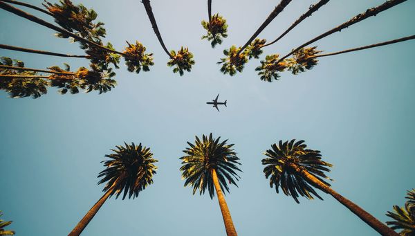 tour Los Angeles, Yosemite, and Giant Sequoia photo