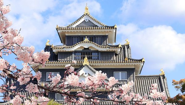 tour Tokyo, Kyoto and Hiroshima photo