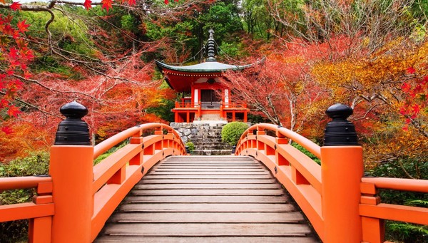 tour Dreamed Japan with Kyushu Island and Express Korea photo