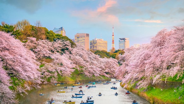 tour Contrasts of Japan and Nagasaki photo