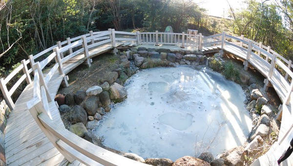 tour Contrasts of Japan and Kyushu Island photo