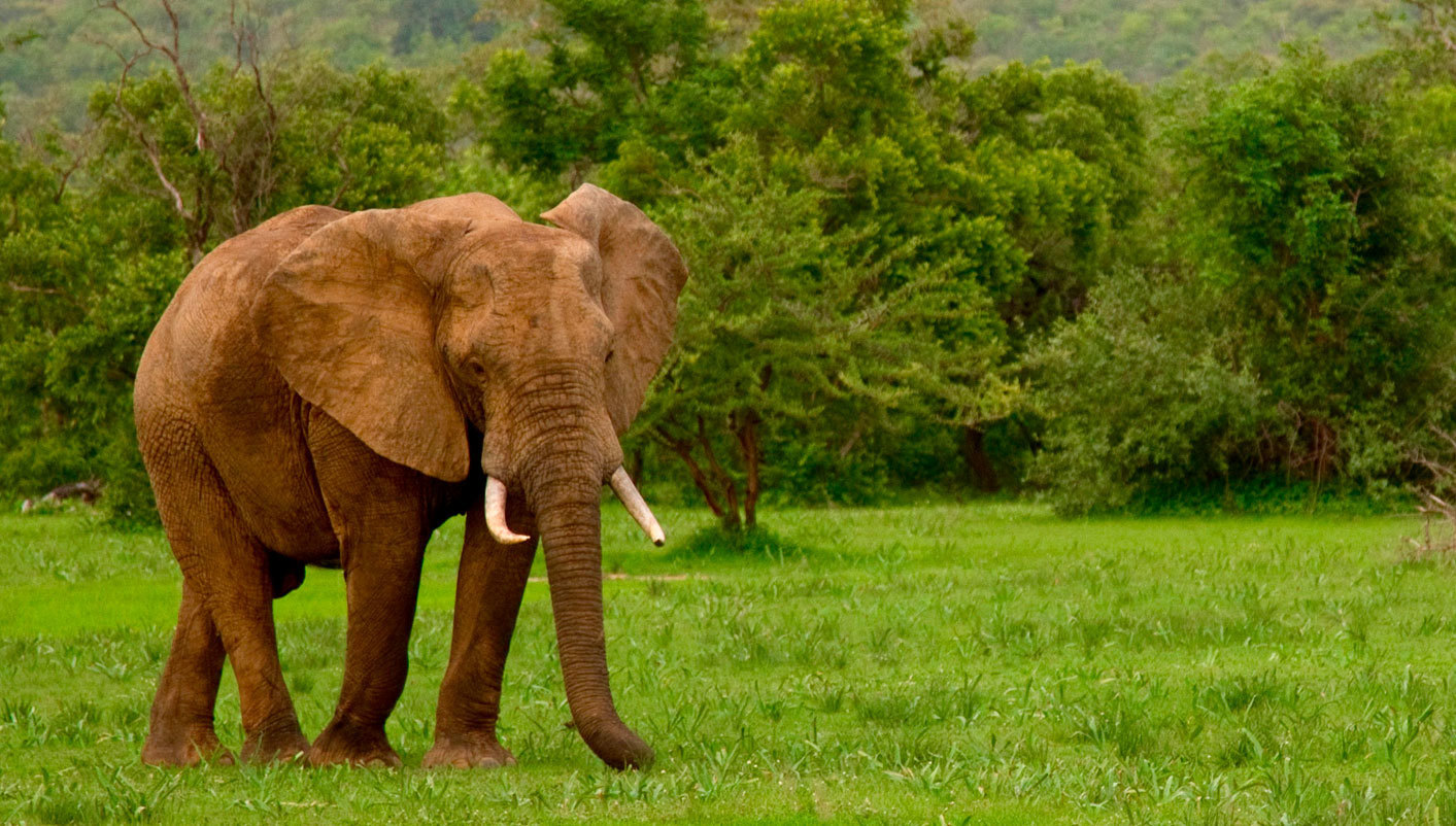 imagen de cabecera del circuito Tierras de Tanzania