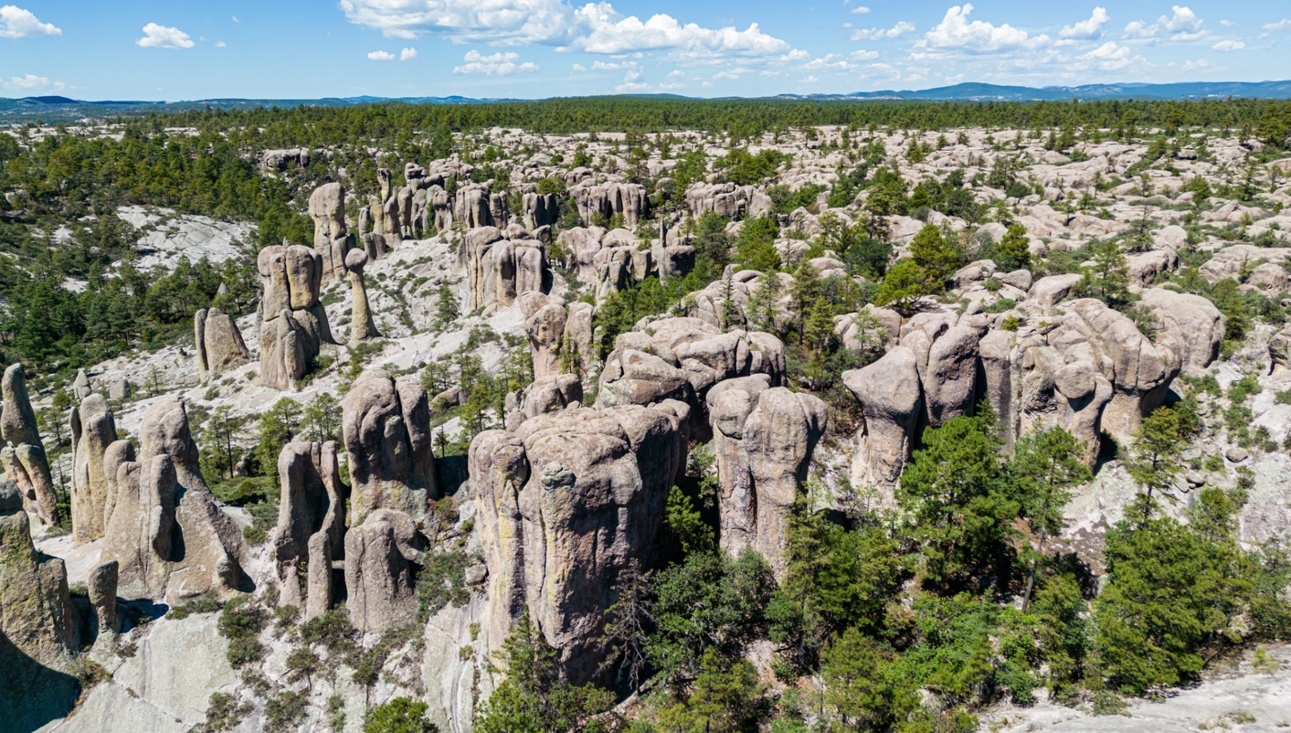 header picture of tour Discover Your Mexico