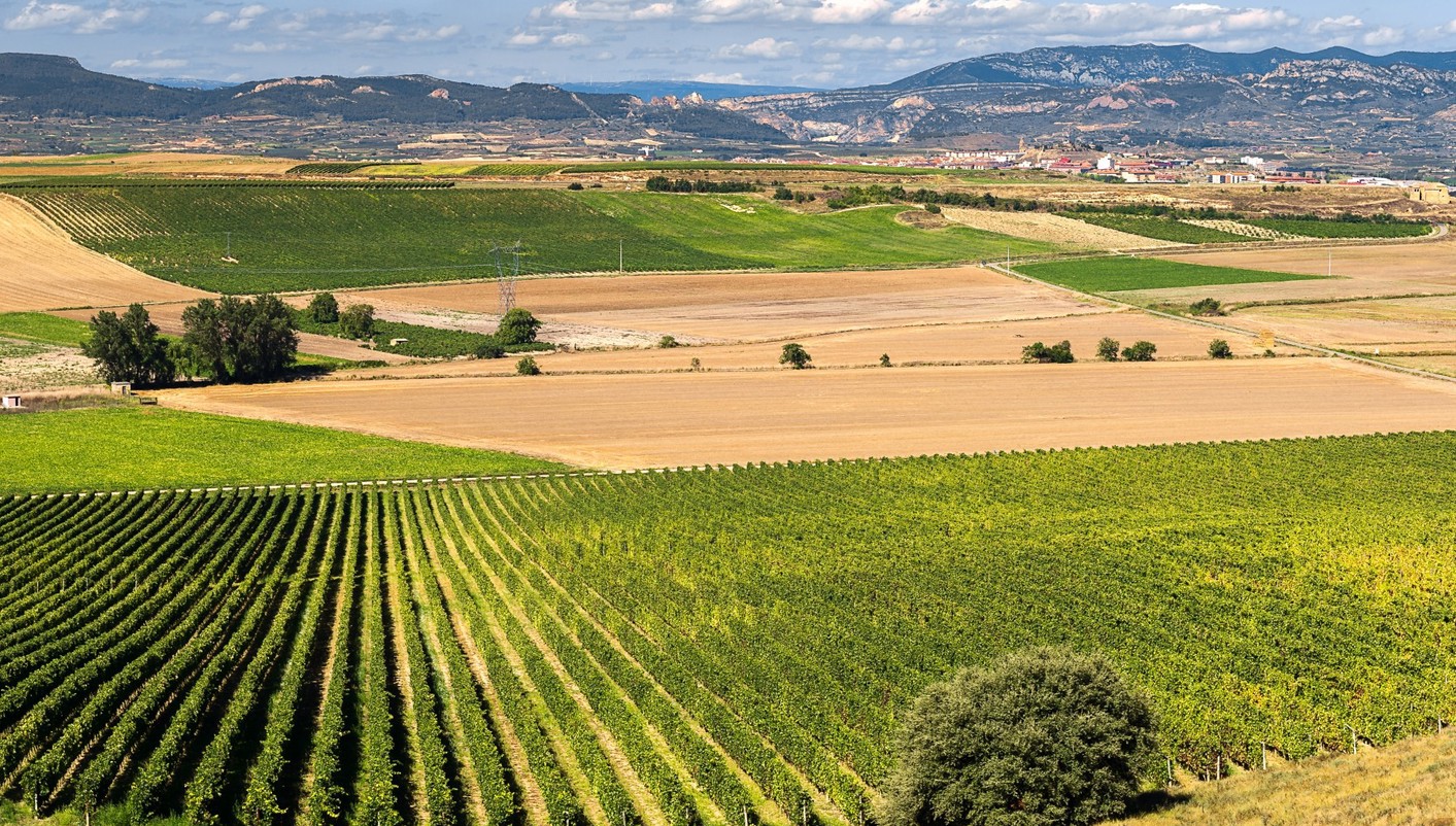 imagen de cabecera del circuito Rioja Enológica