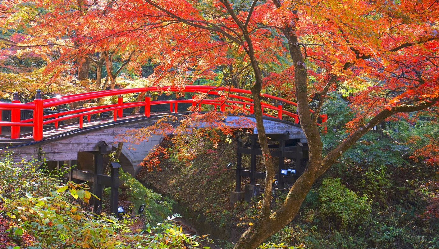 header picture of tour Japan´s Landscapes and Mount Fuji