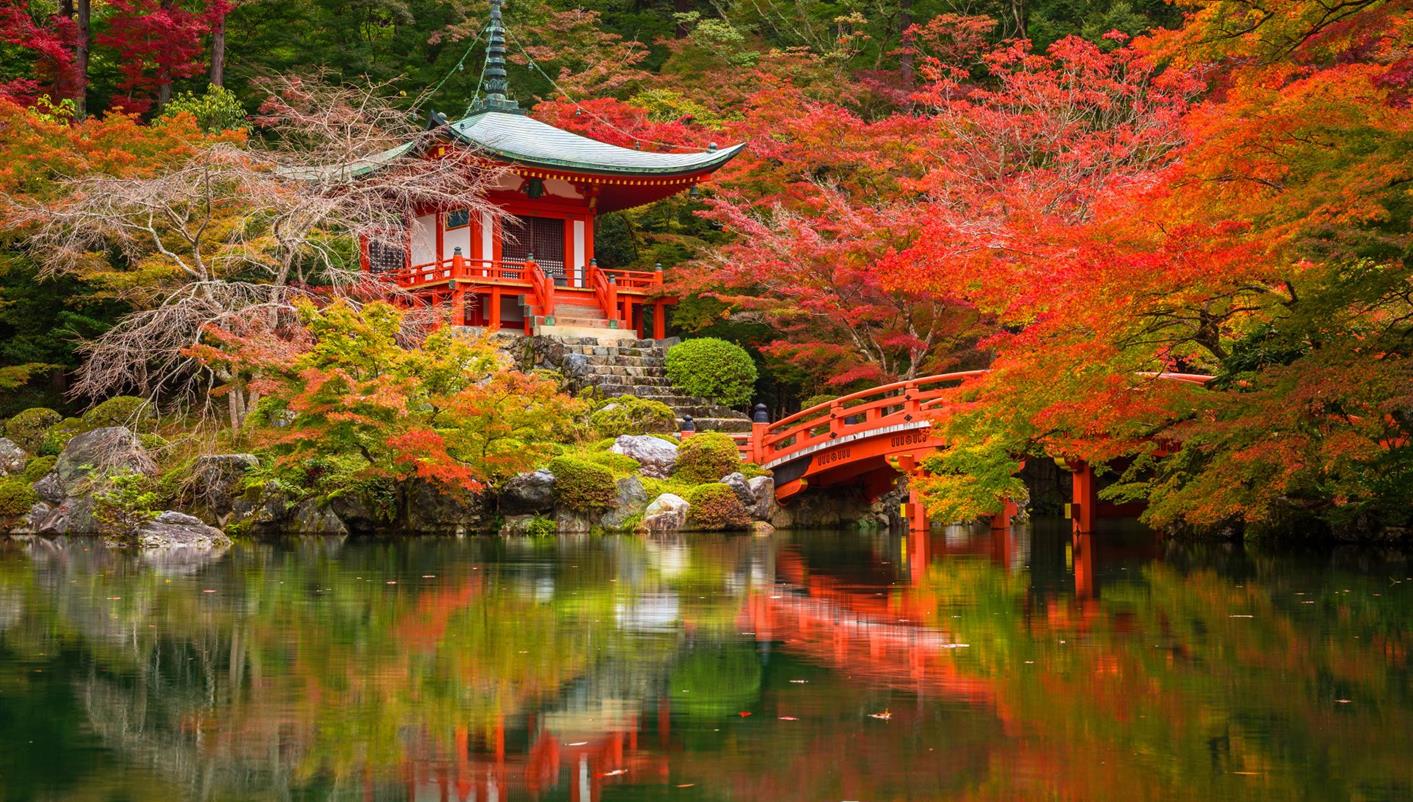 header picture of tour Discover Japan
