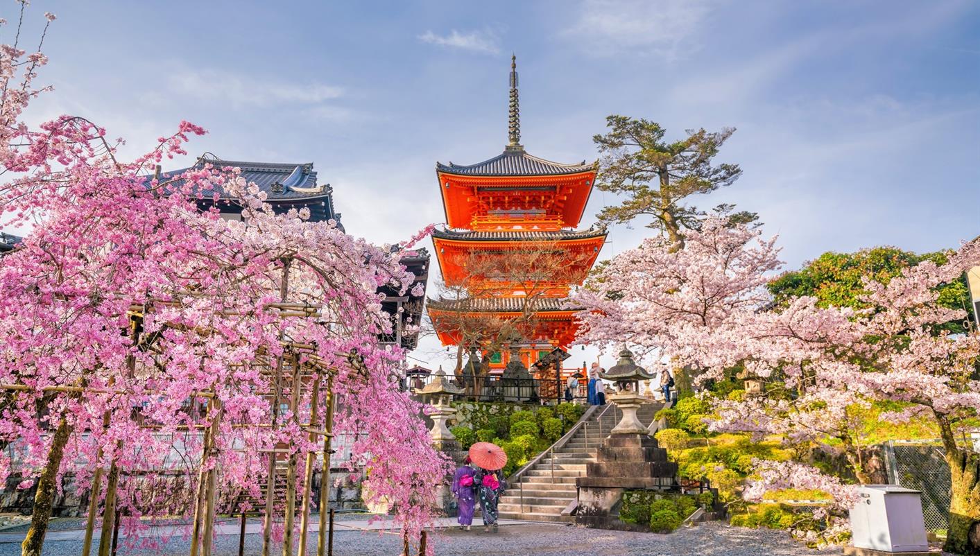 header picture of tour Contrasts of Japan