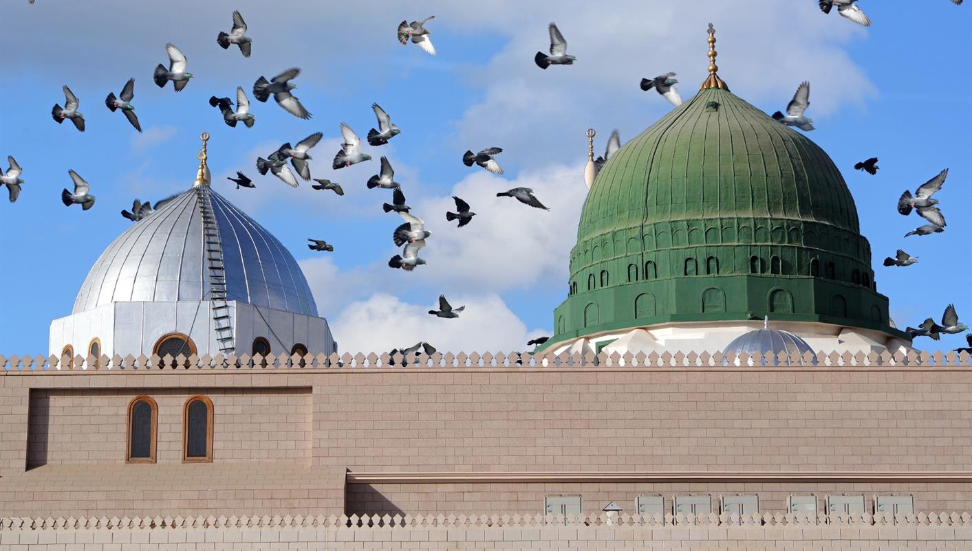 header picture of tour Dreamed Saudi Arabia