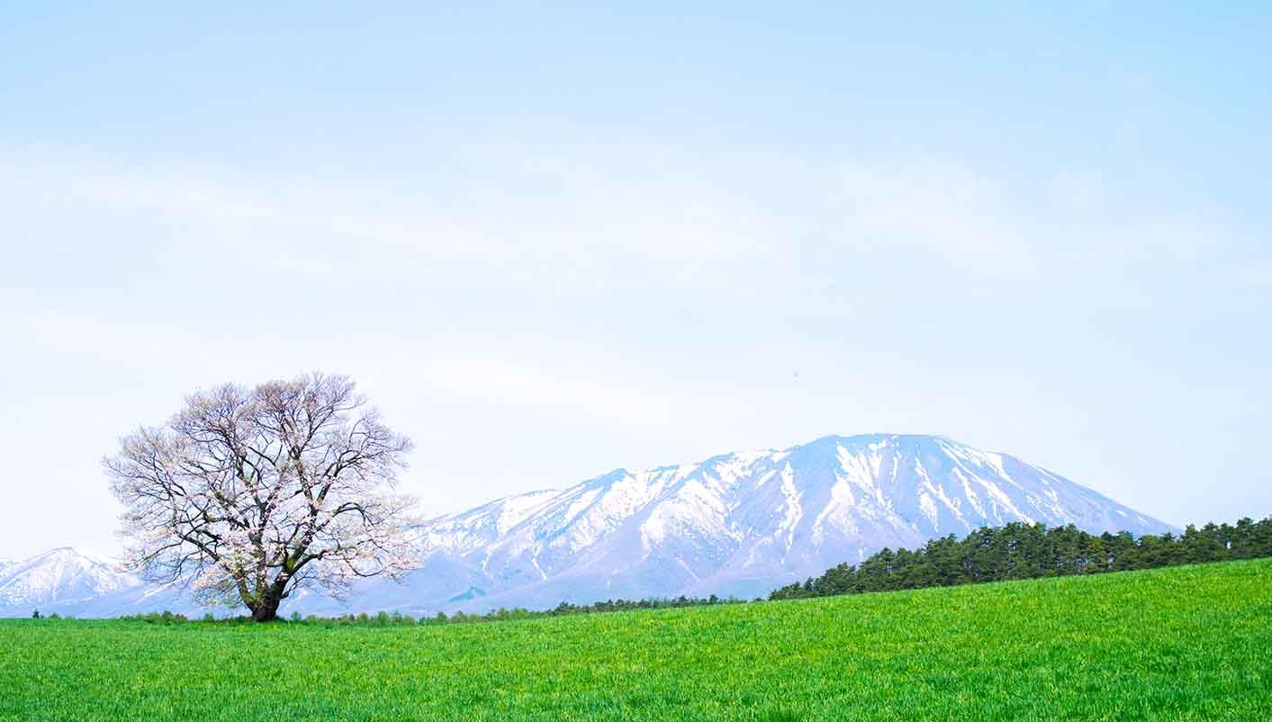 header picture of tour Discover Japan End Sapporo