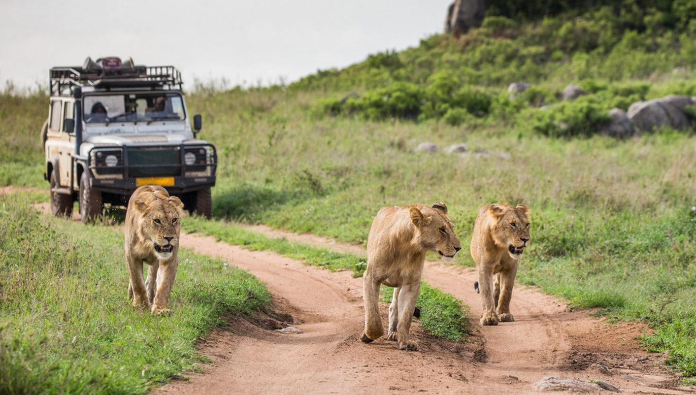 imagen de cabecera del circuito Tierras de Tanzania