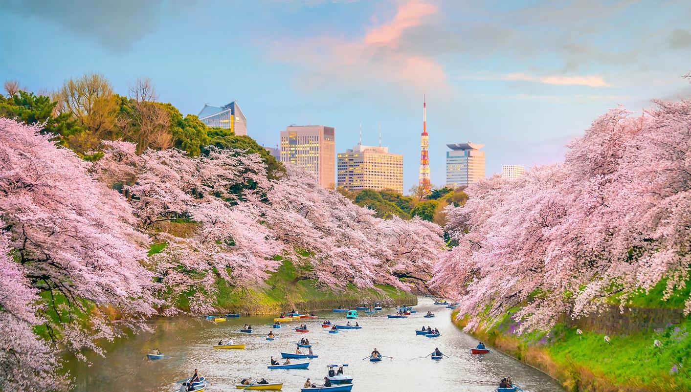 header picture of tour Contrasts of Japan
