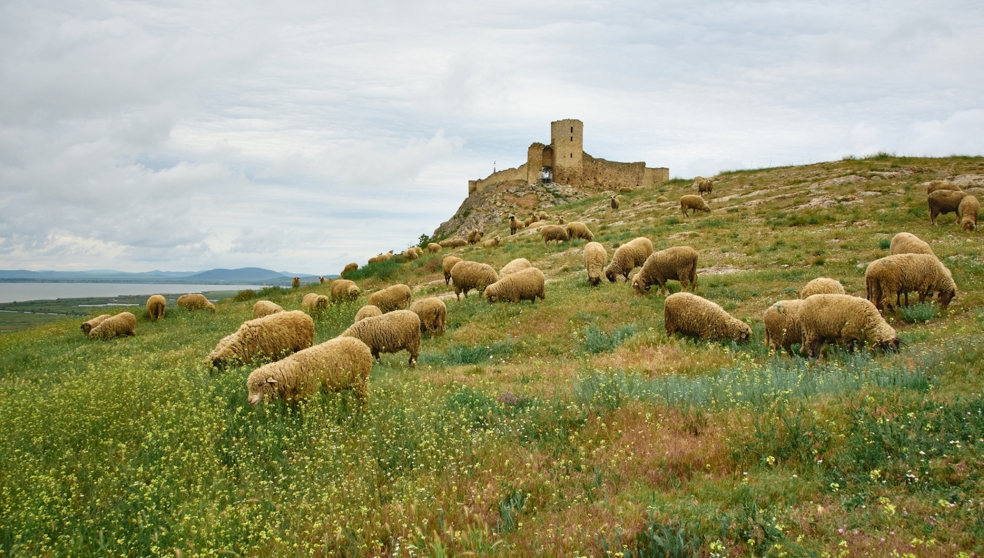 header picture of tour Transylvania, Bucovina & Black Sea