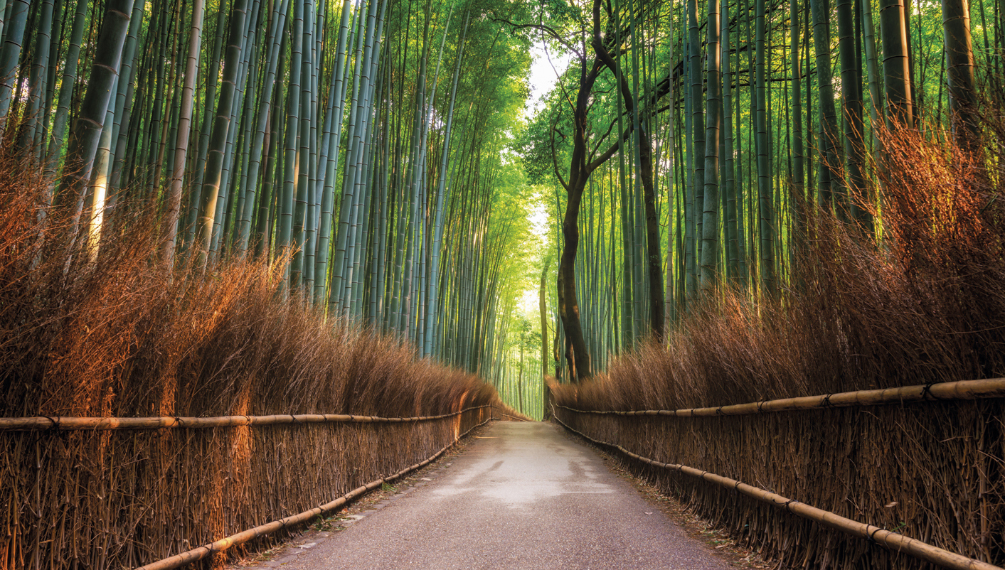 paquete turistico Descubre Japon Fin Sapporo