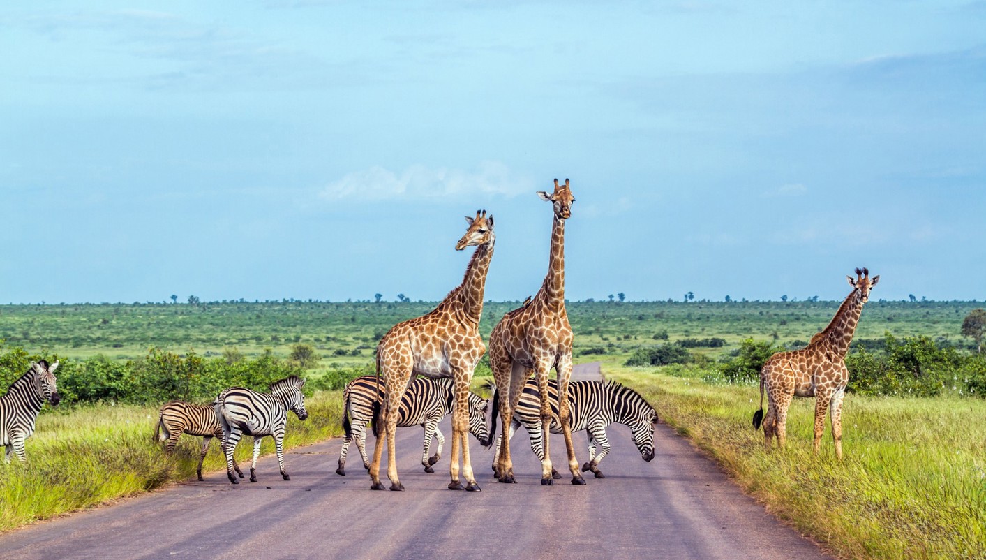 paquete turistico Sudáfrica Imprescindible