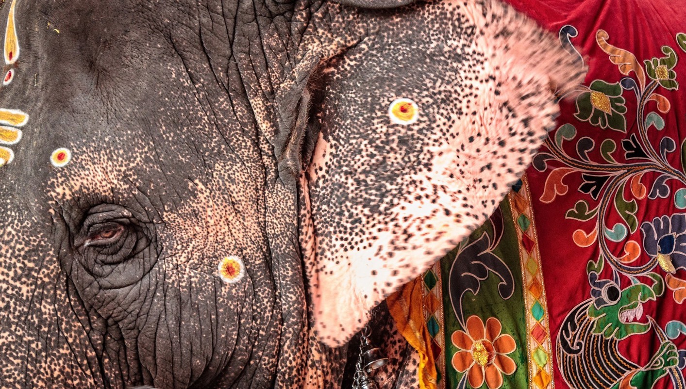 paquete turistico India del Norte y Sur Mágico