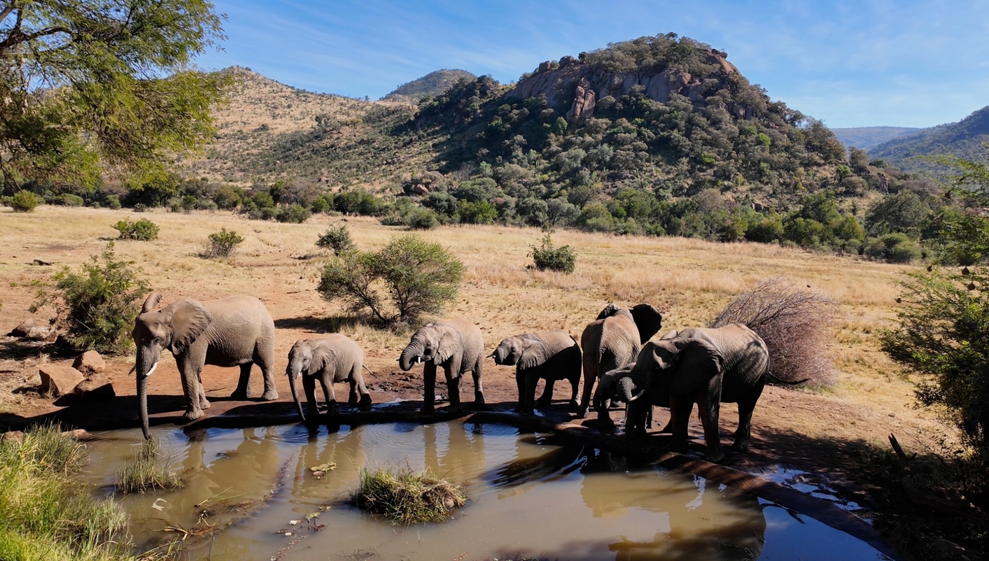 paquete turistico Sudáfrica inolvidable con Pilanesberg