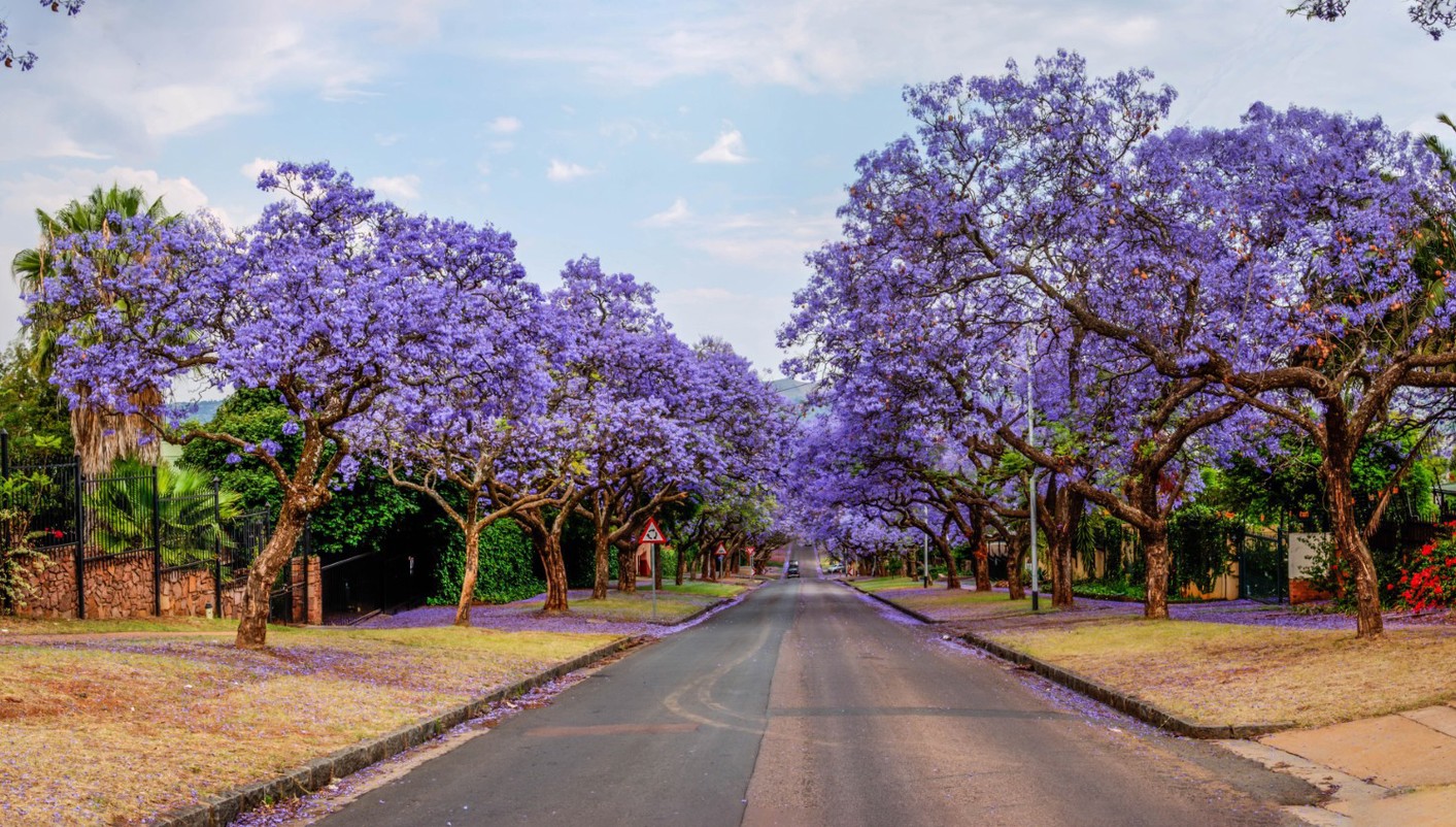 paquete turistico Sudáfrica inolvidable con Pilanesberg
