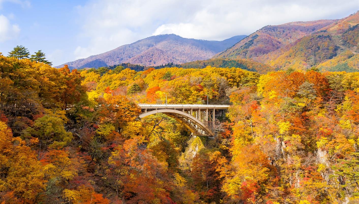 paquete turistico Encantos de Japon